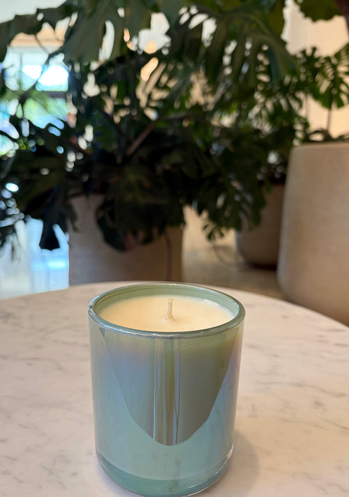 Frozen Forest Aroma Candle 8 oz Handmade