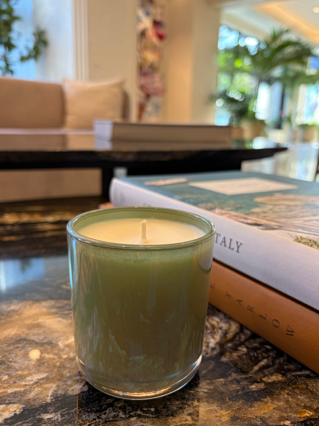 Frozen Forest Aroma Candle 8 oz Handmade