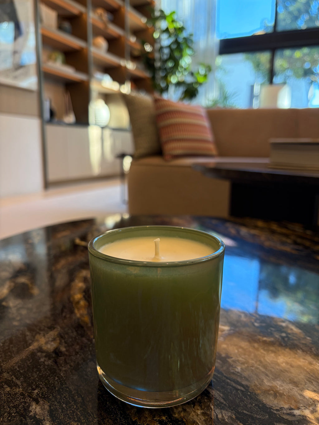 Frozen Forest Aroma Candle 8 oz Handmade