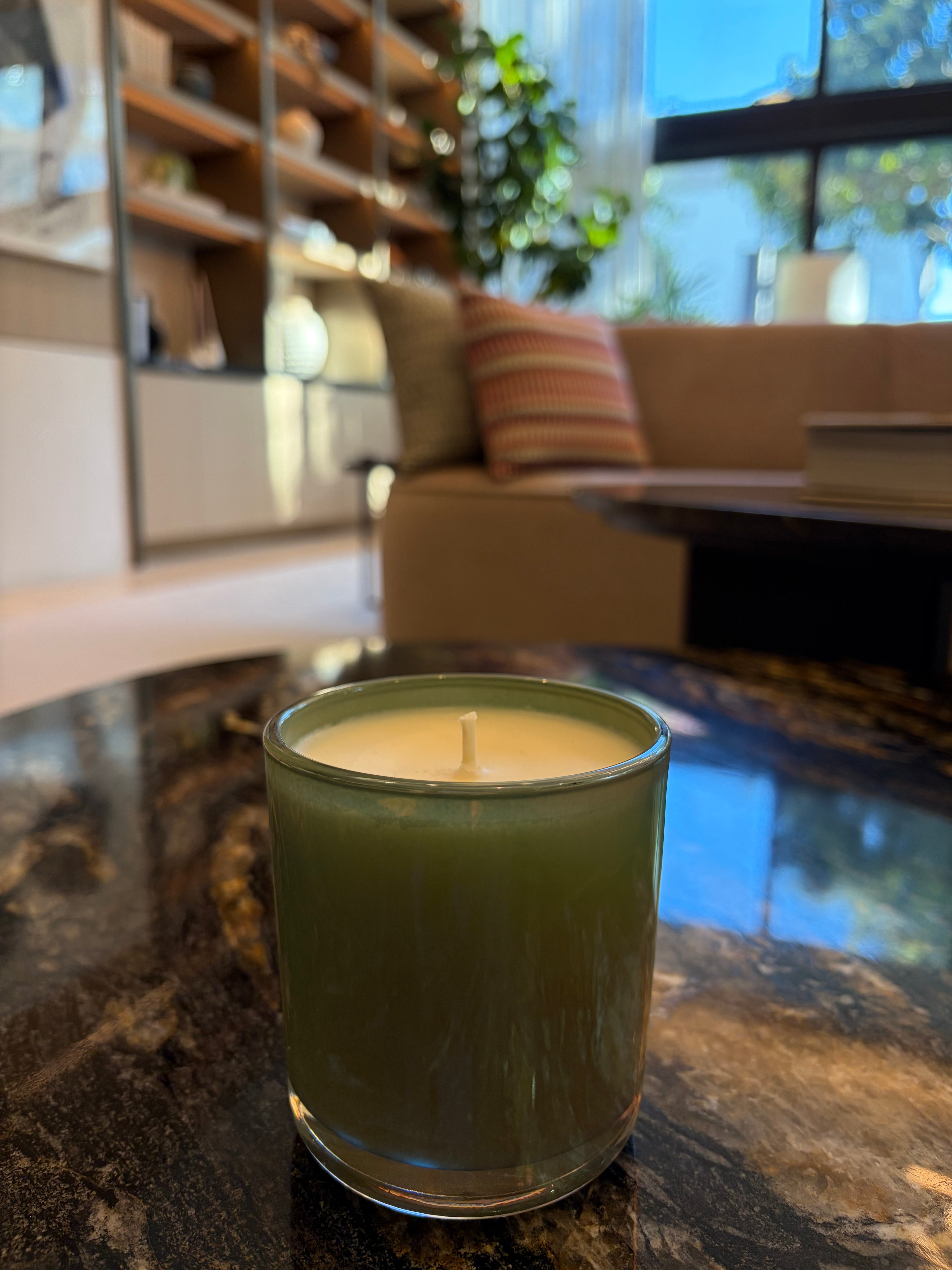 Frozen Forest Aroma Candle 8 oz Handmade